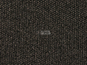 Грязезащитные покрытия Vebe Alba Pc Alba pvc 50 фото 1 | FLOORDEALER